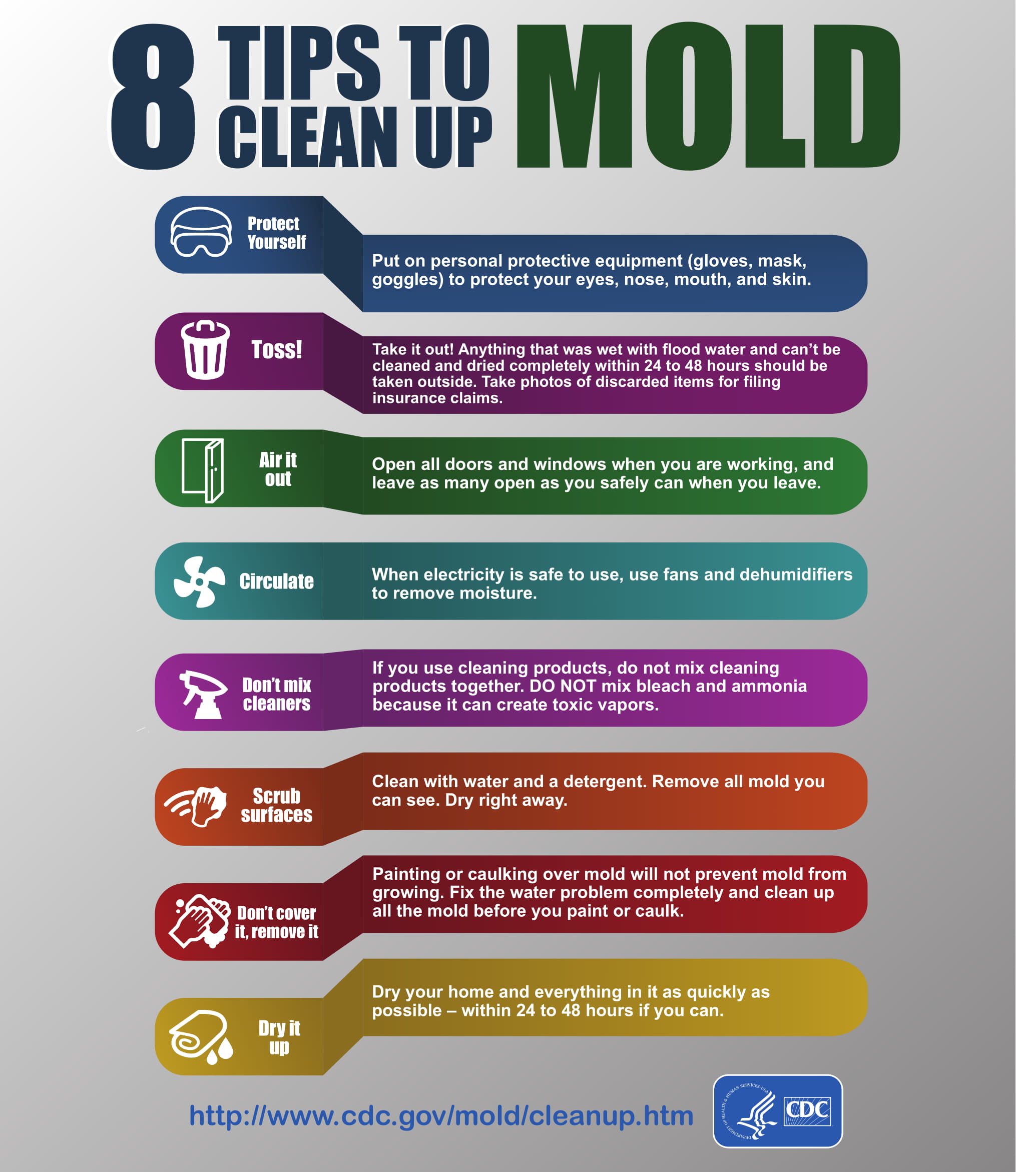 What to Do if Your House has Mold – Health Risks and Tips to